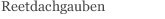 Reetdachgauben